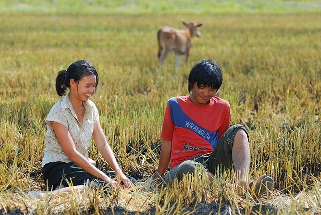 Ninh Duong Lan Ngoc anh 5