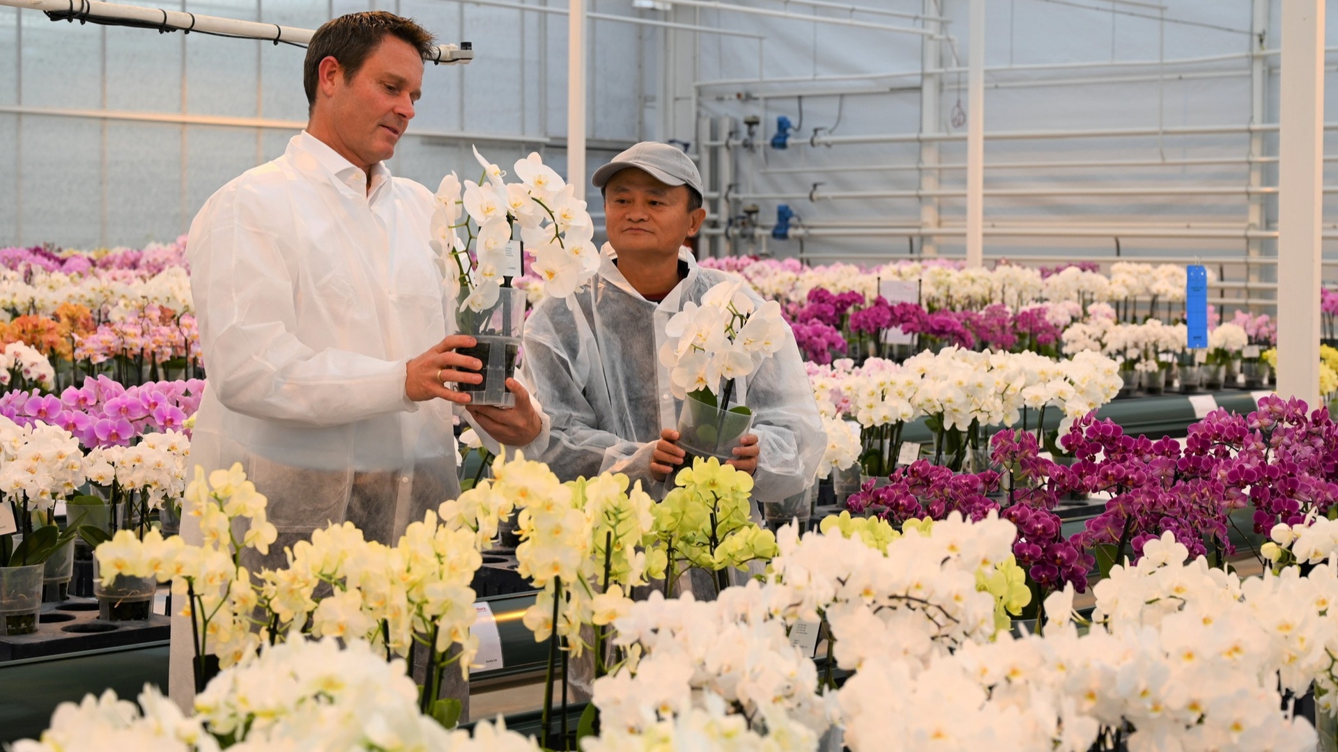 Jack Ma anh 1
