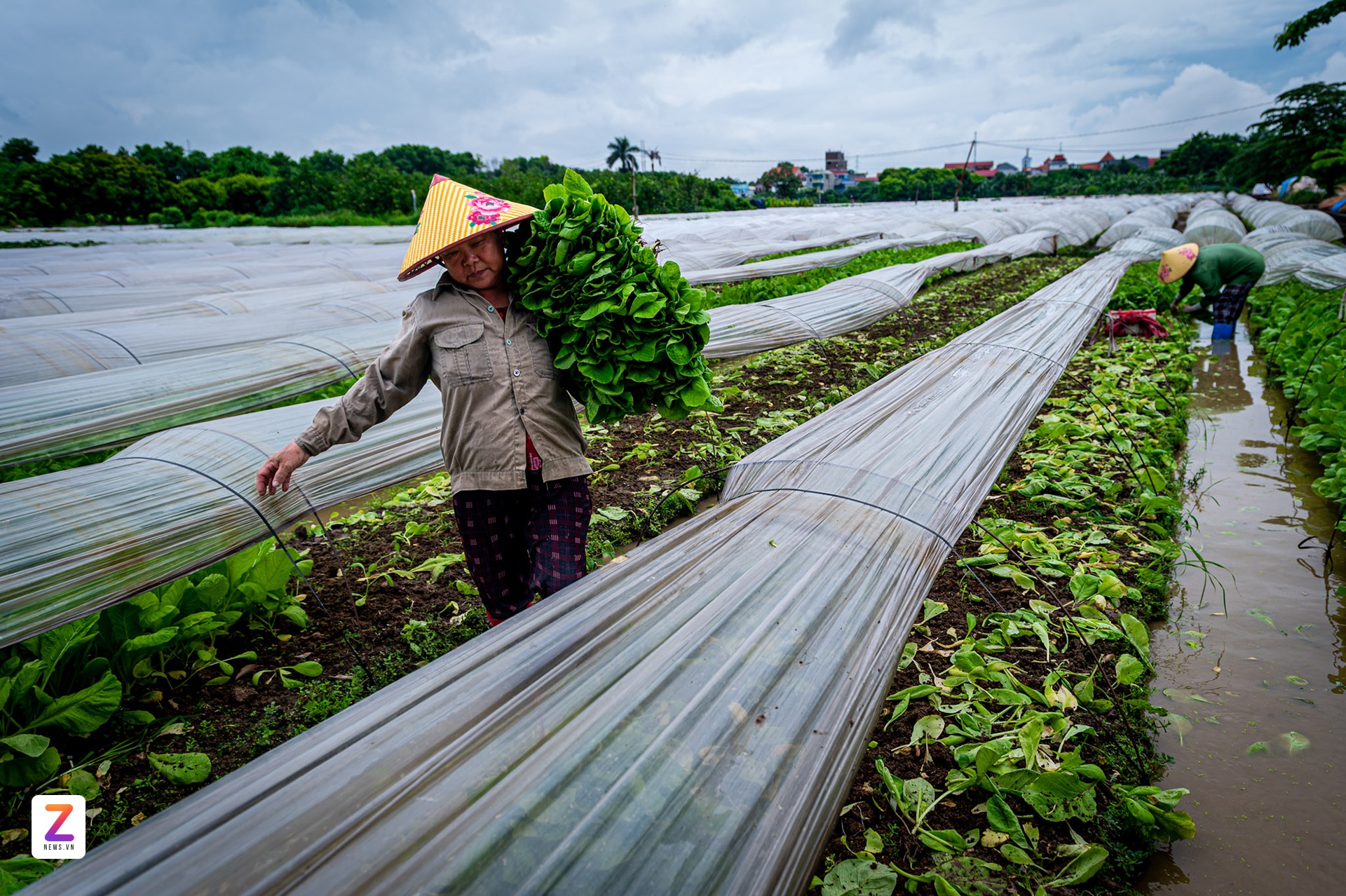 Xã Xã Hội Chủ nghĩa ảnh 19