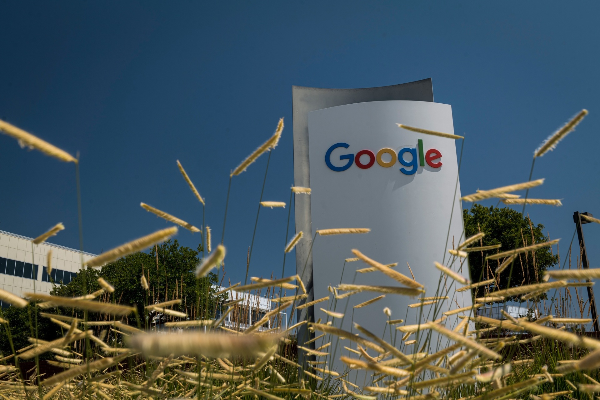 Quy toi te cua Google anh 2