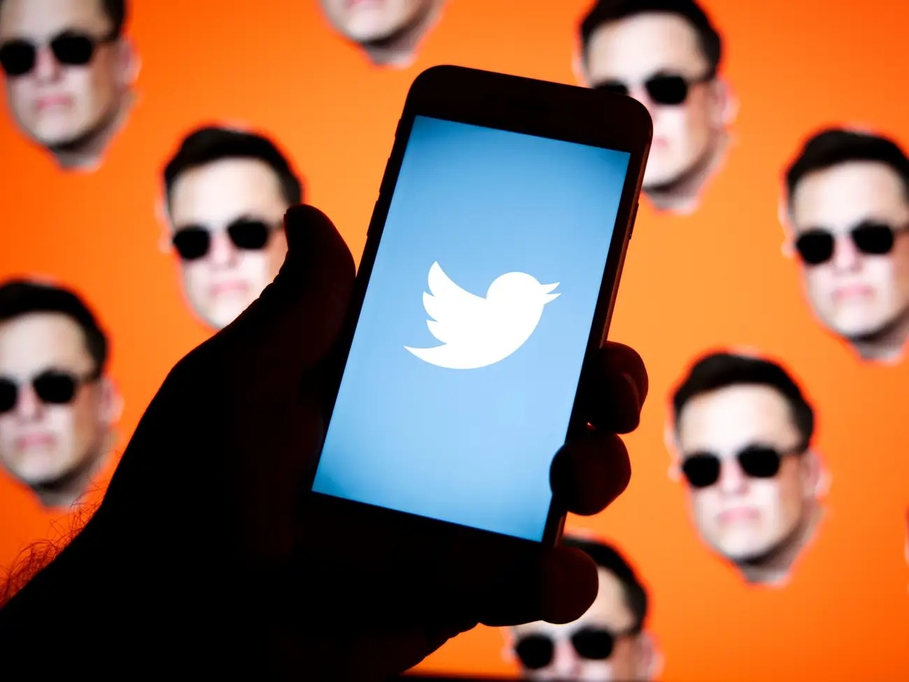 Twitter tang truong nho Musk anh 1