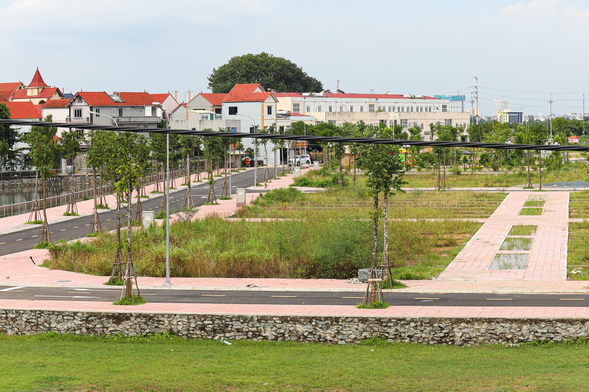 HoREA đề xuất nâng mức xử phạt với người bỏ cọc đất đấu giá
