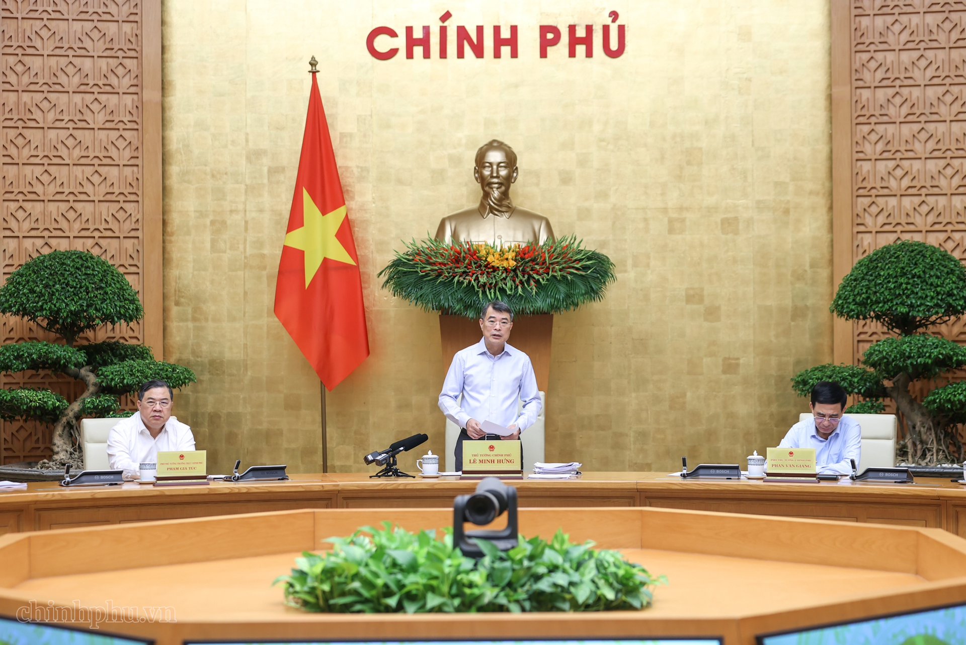tăng trưởng ảnh 1