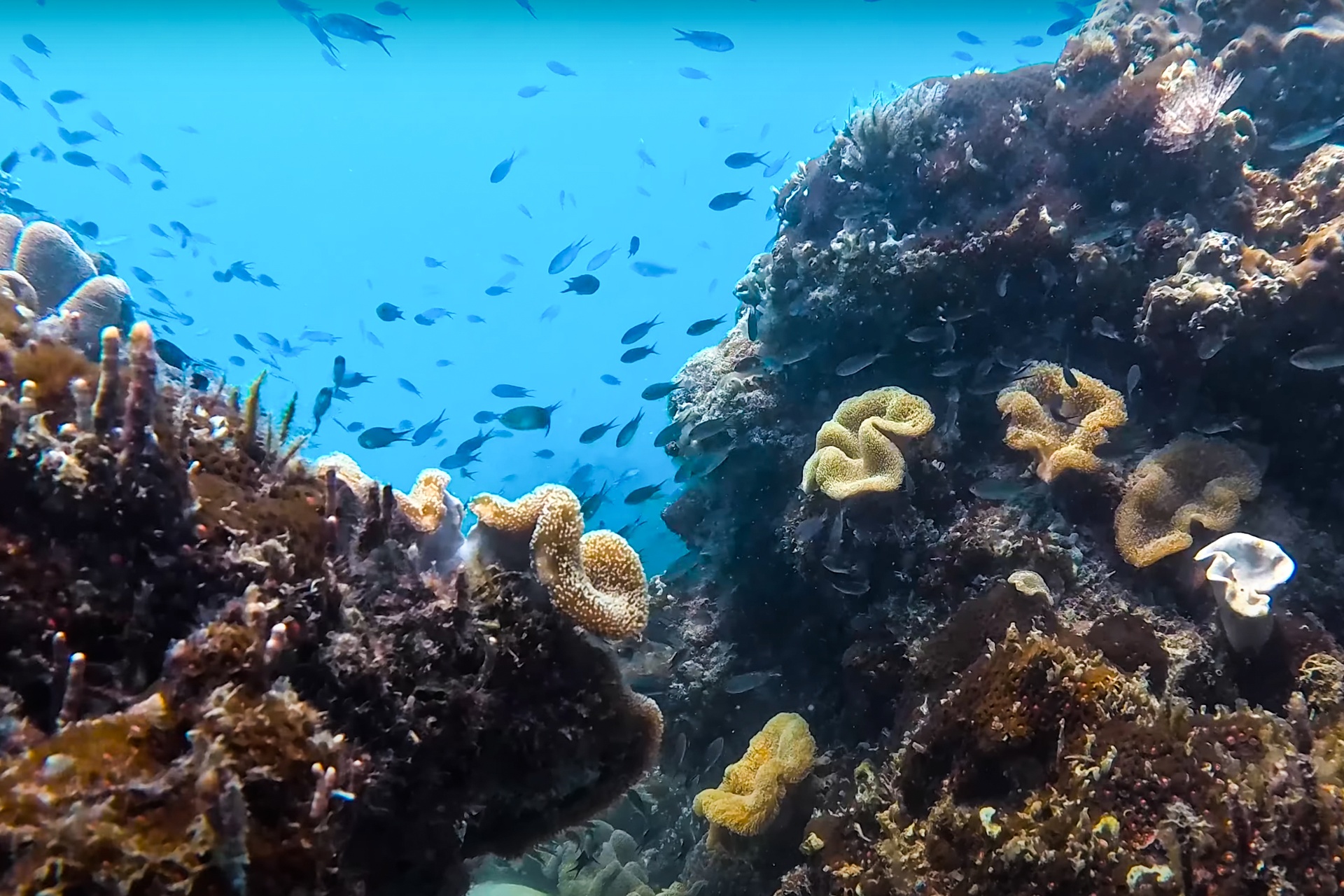 Foto aliran Phu Quoc 2026 3