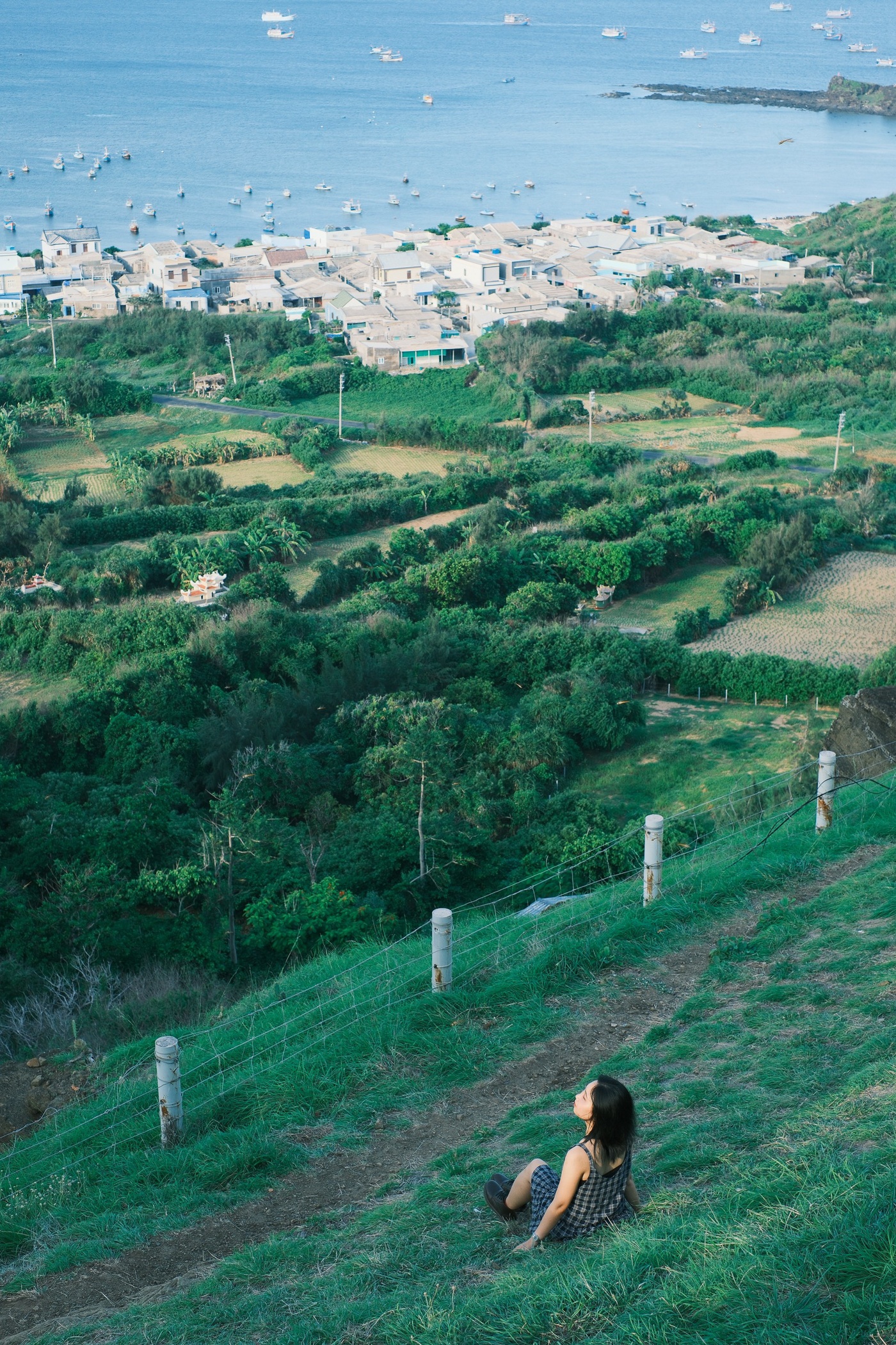 Dao Phu Quy anh 8