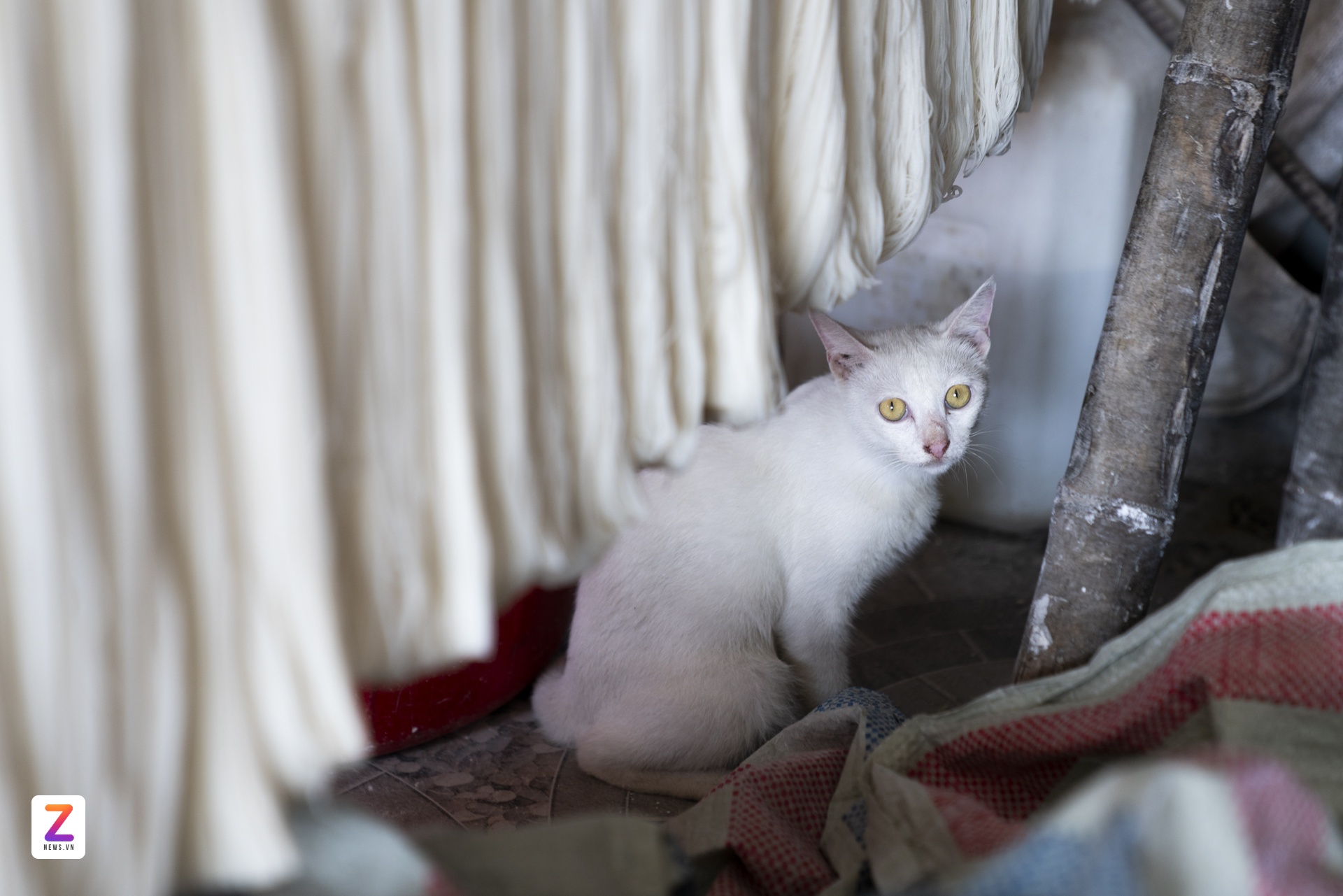 Du lich Phu Tho anh 24