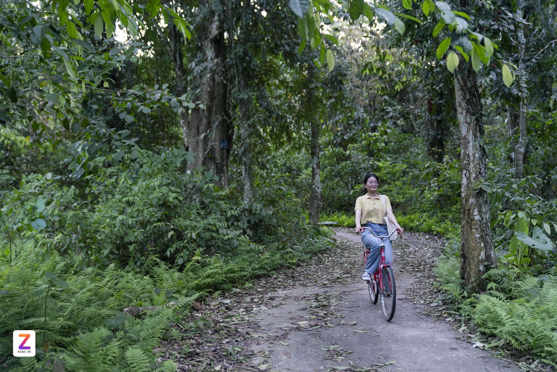 Du lich Phu Tho anh 28