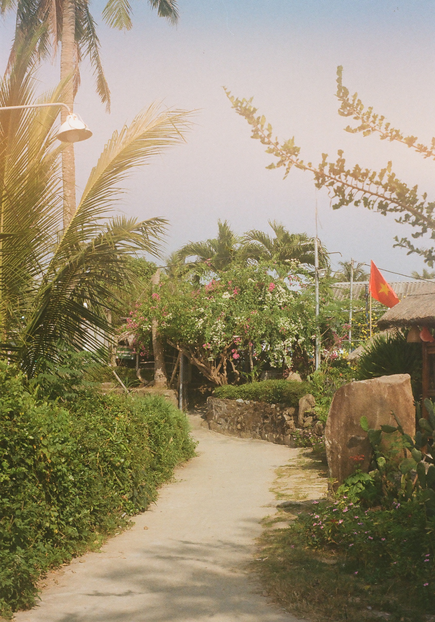 Sống du mục ven biển ảnh 1 Song du muc ven bien anh 1