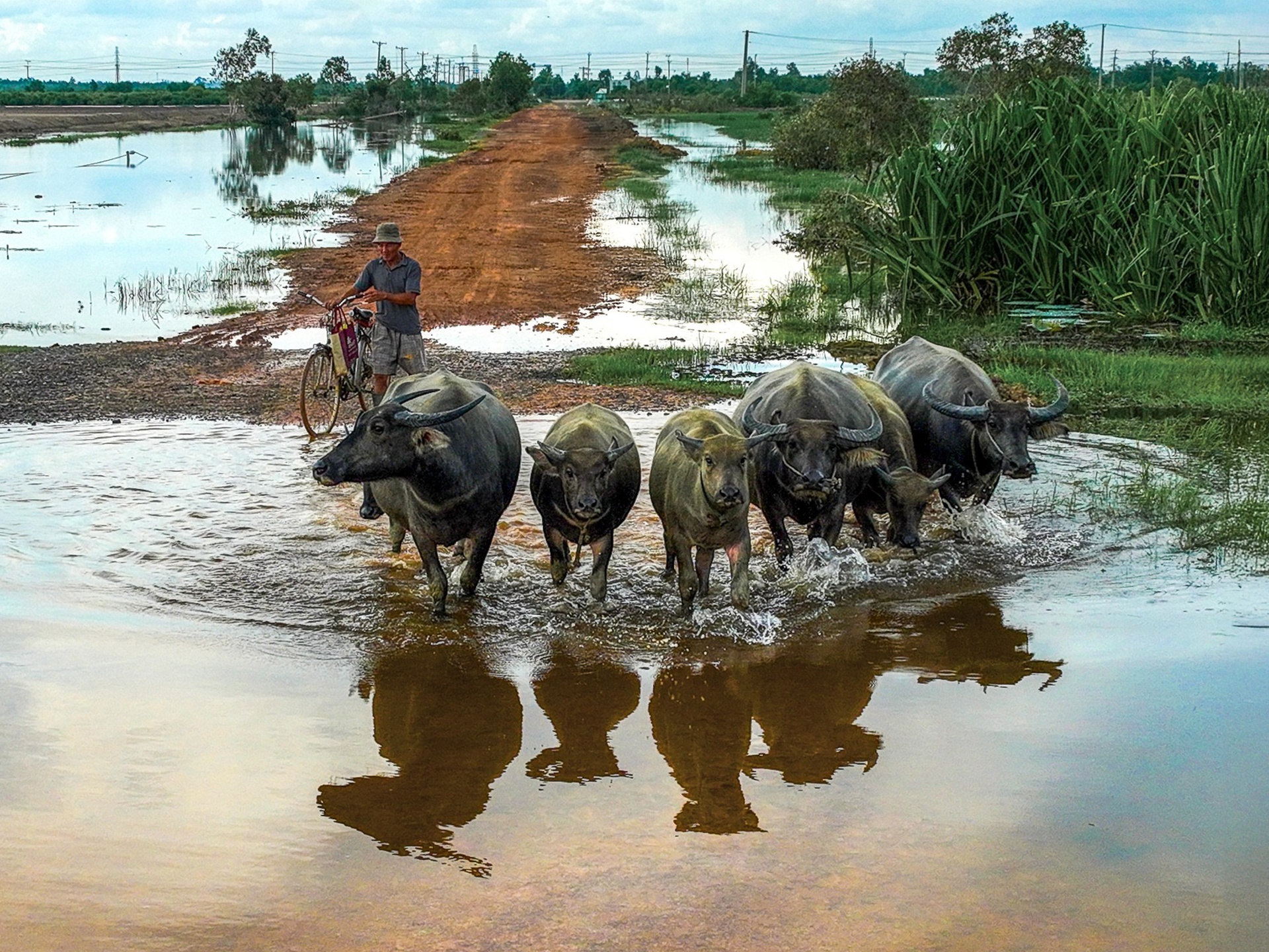 ទិញអាល់ប៊ុមរូបថតចំនួន 13
