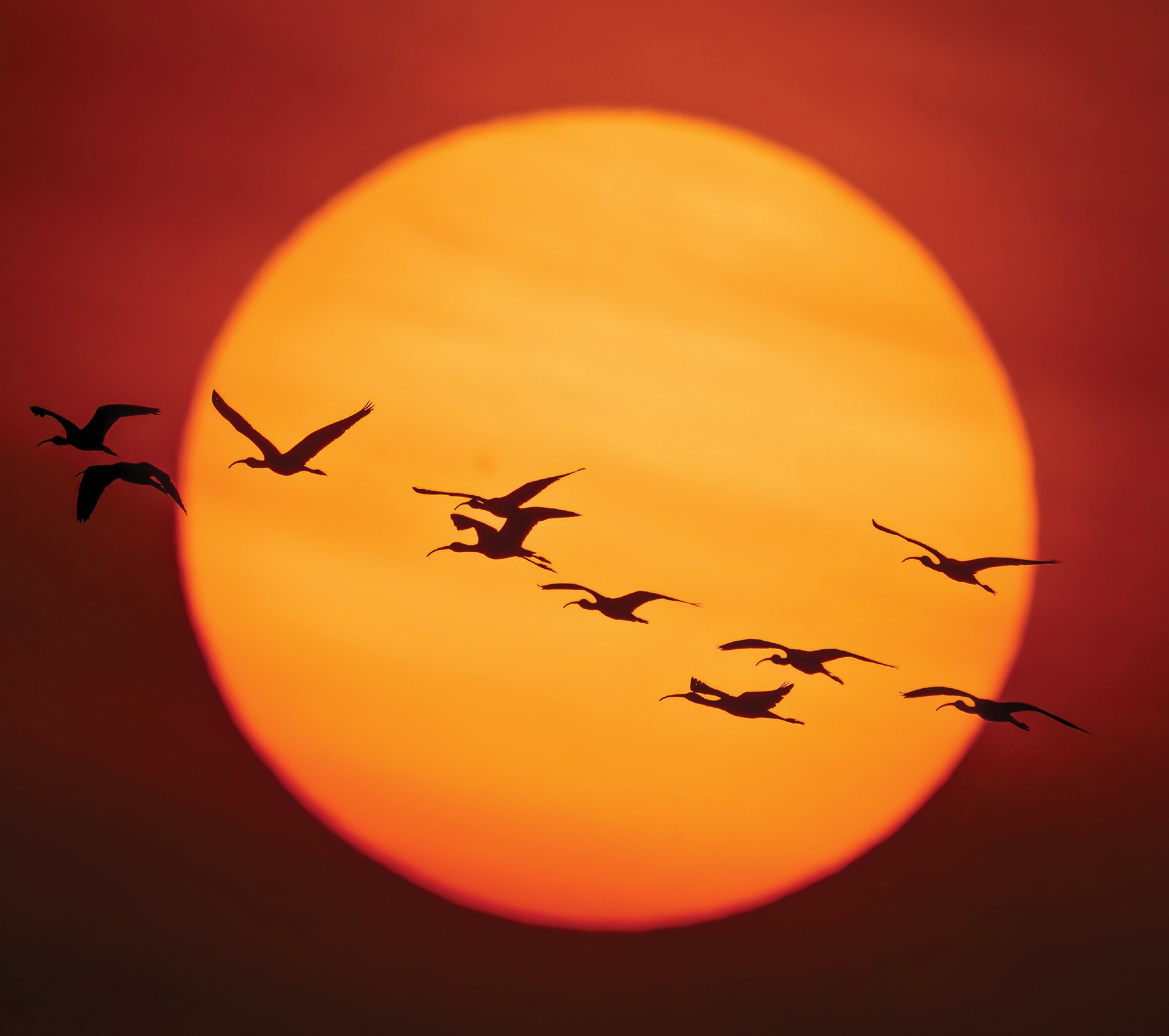 Vietnamský císař, 2. část