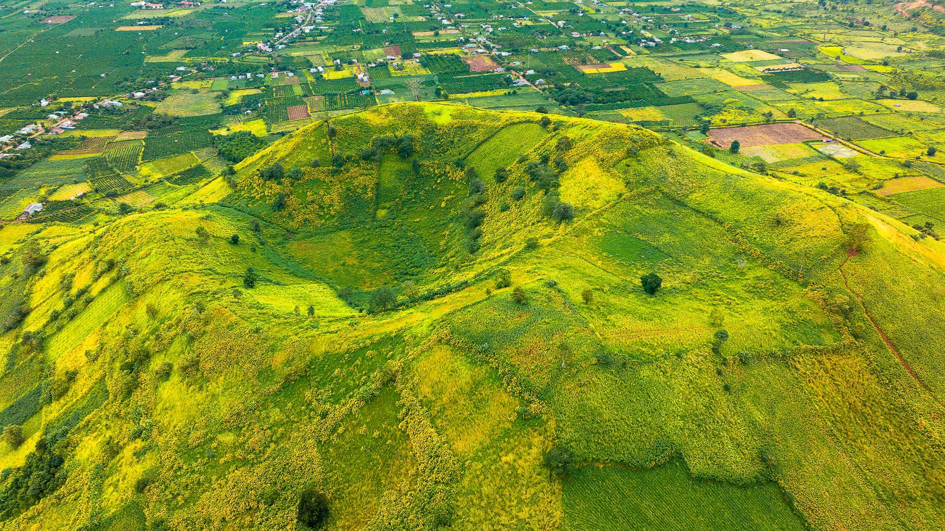 Ďáblova kůže, fotografie 3 od Chu Dang Ya