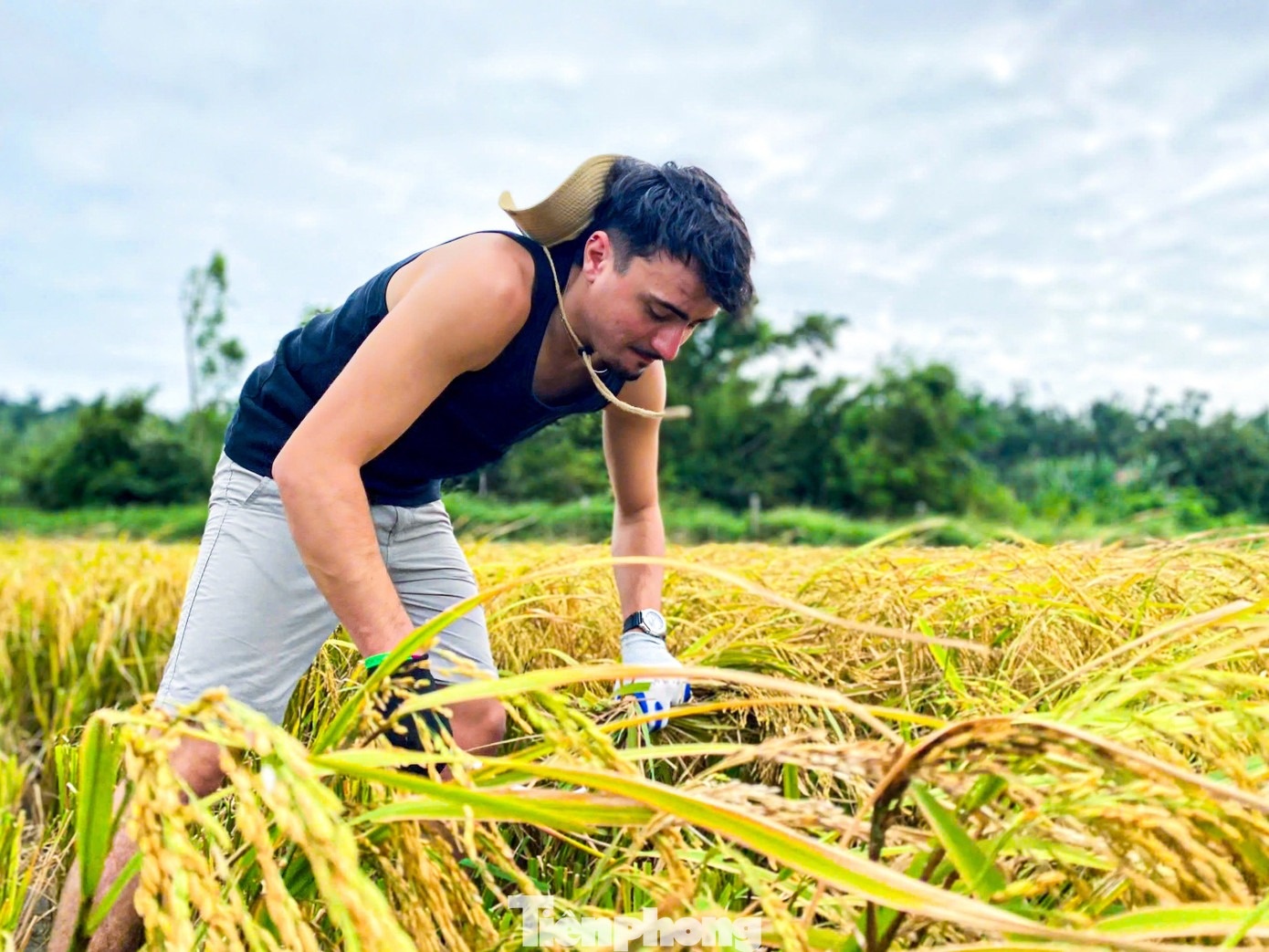 Khach gat lua bat cua anh 6