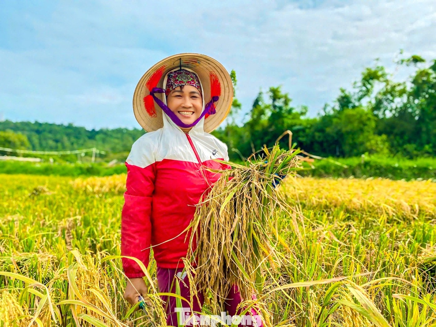 Khach gat lua bat cua anh 4