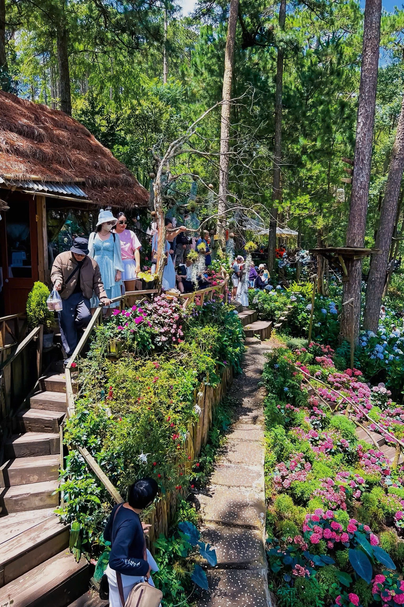 مقهى دا لات، الصورة 3