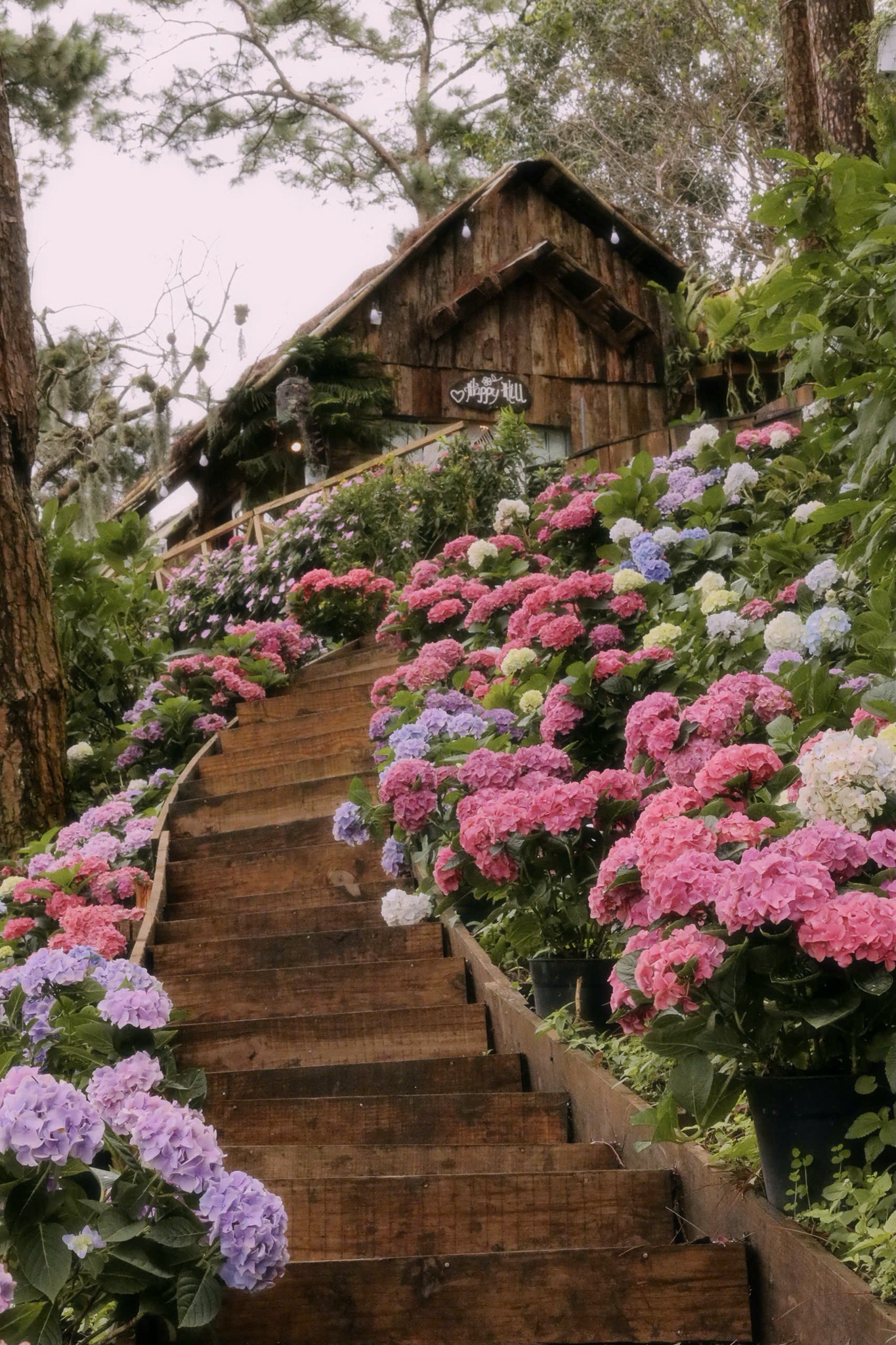 مقهى دا لات، الصورة 2