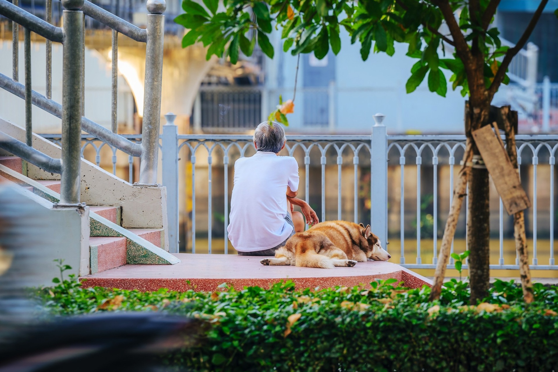 Cầu Ba Son và ánh chiều tà