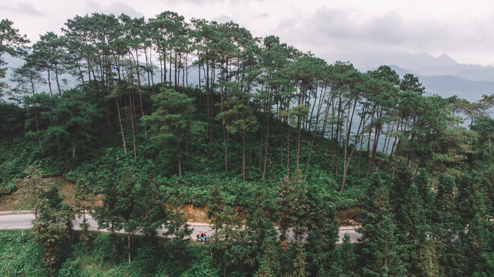 vung nui Dong Bac anh 2