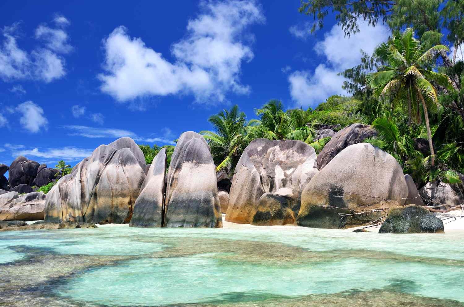 dao nhiet doi,  bien,  hai san,  nghi duong anh 1