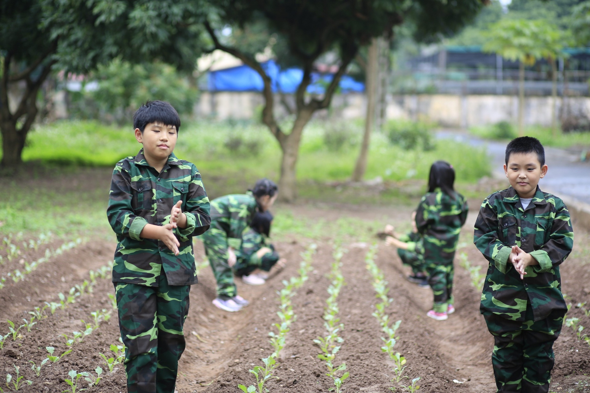 Trai he anh 1