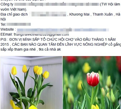 Một công ty nhận đặt hoa Tết.