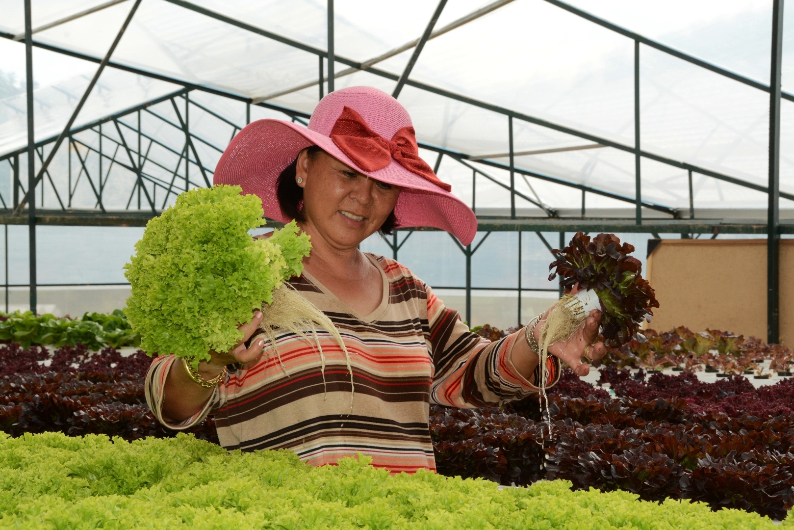 Bà Nguyễn Thị Huệ. Ảnh: Thạch Thảo.