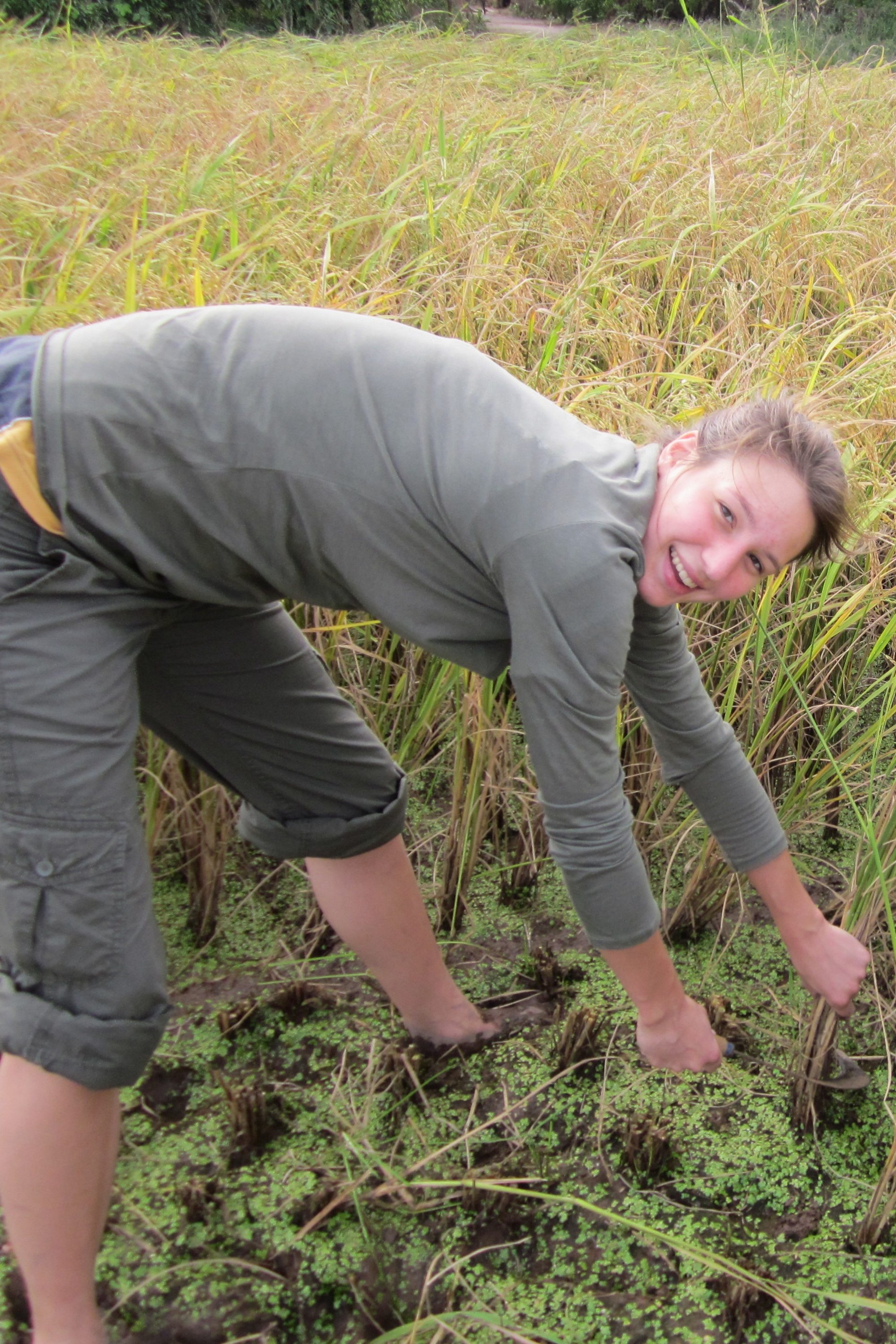 cong vien di san anh 9