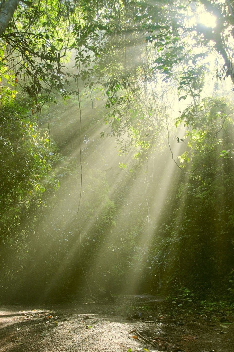 cong vien di san anh 6