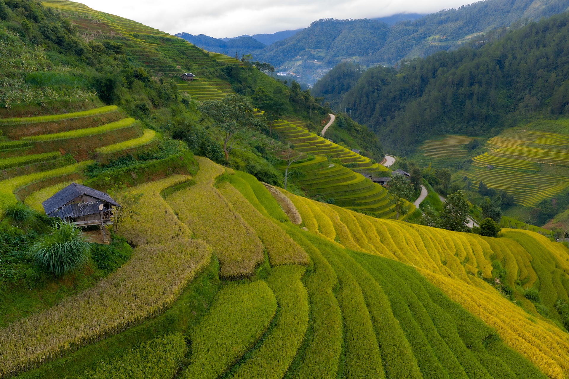 Mu Cang Chai រូបថត ២