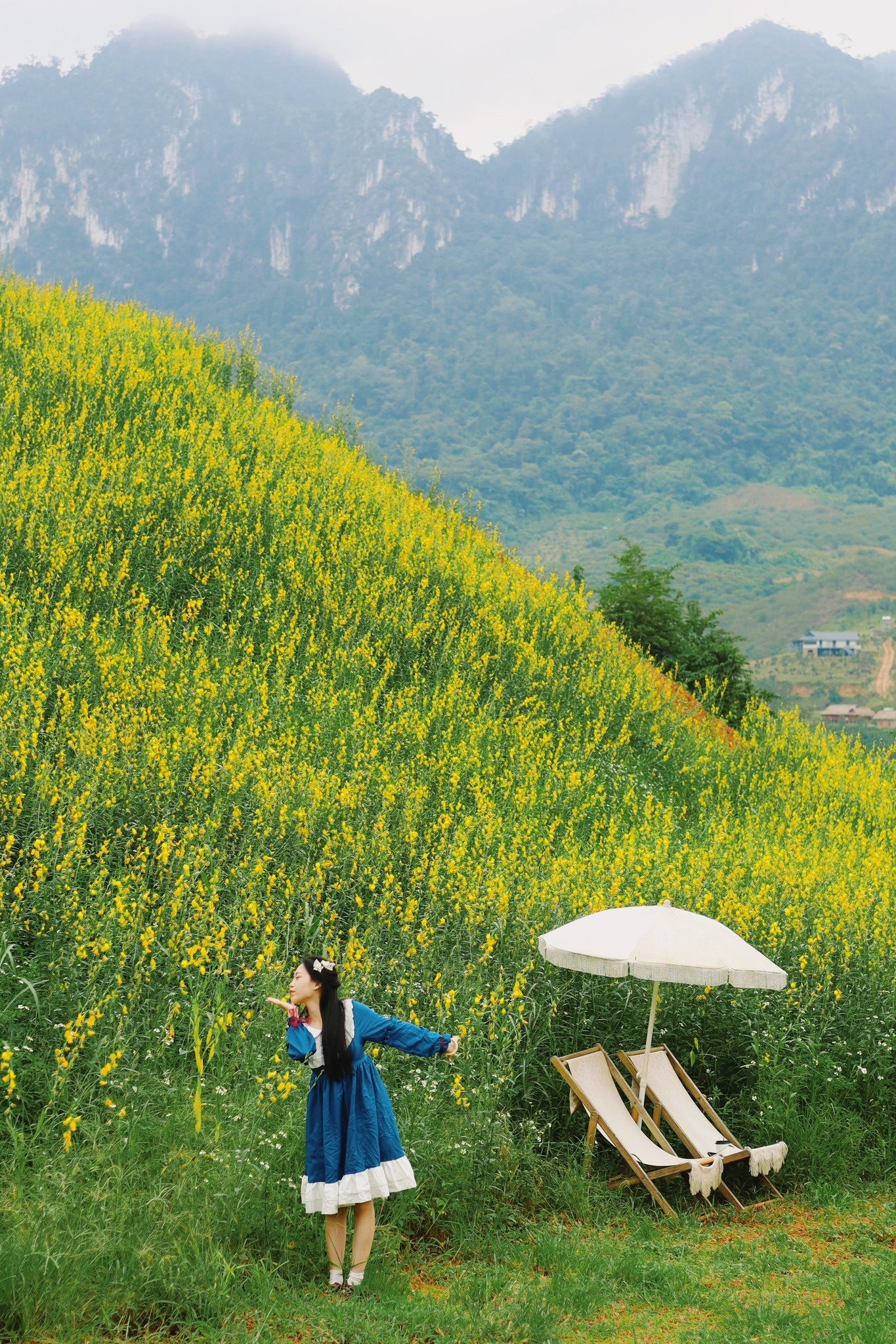 thung lung hoa anh 15