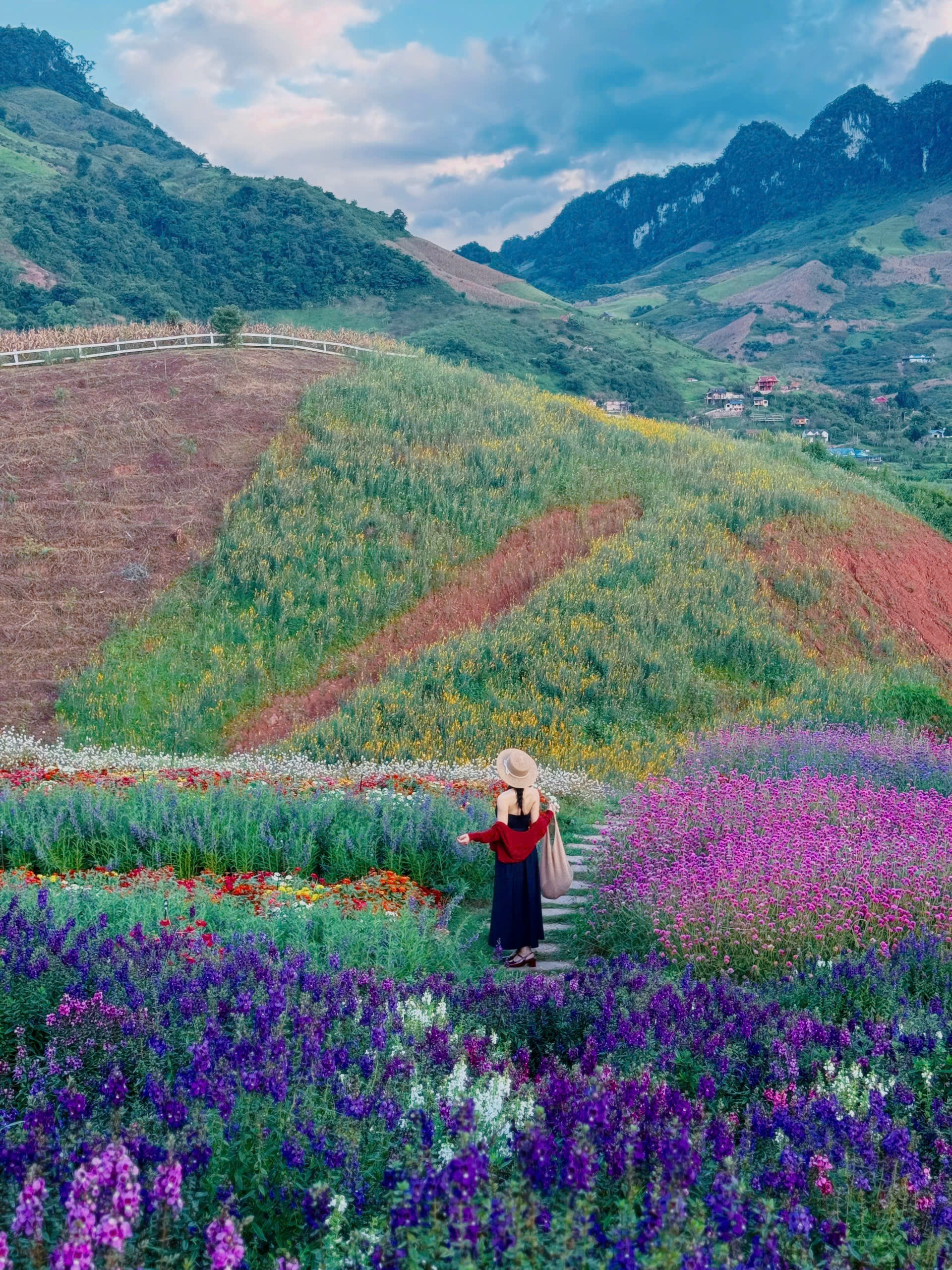 thung lung hoa anh 1
