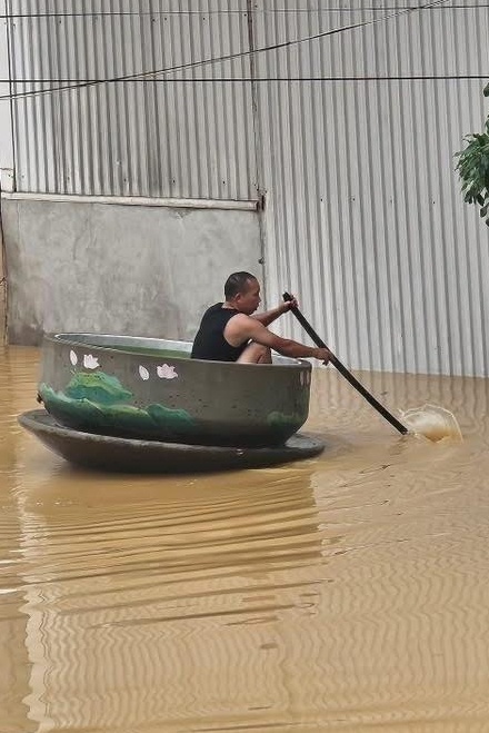 chén trà ảnh 2 chen tra anh 2