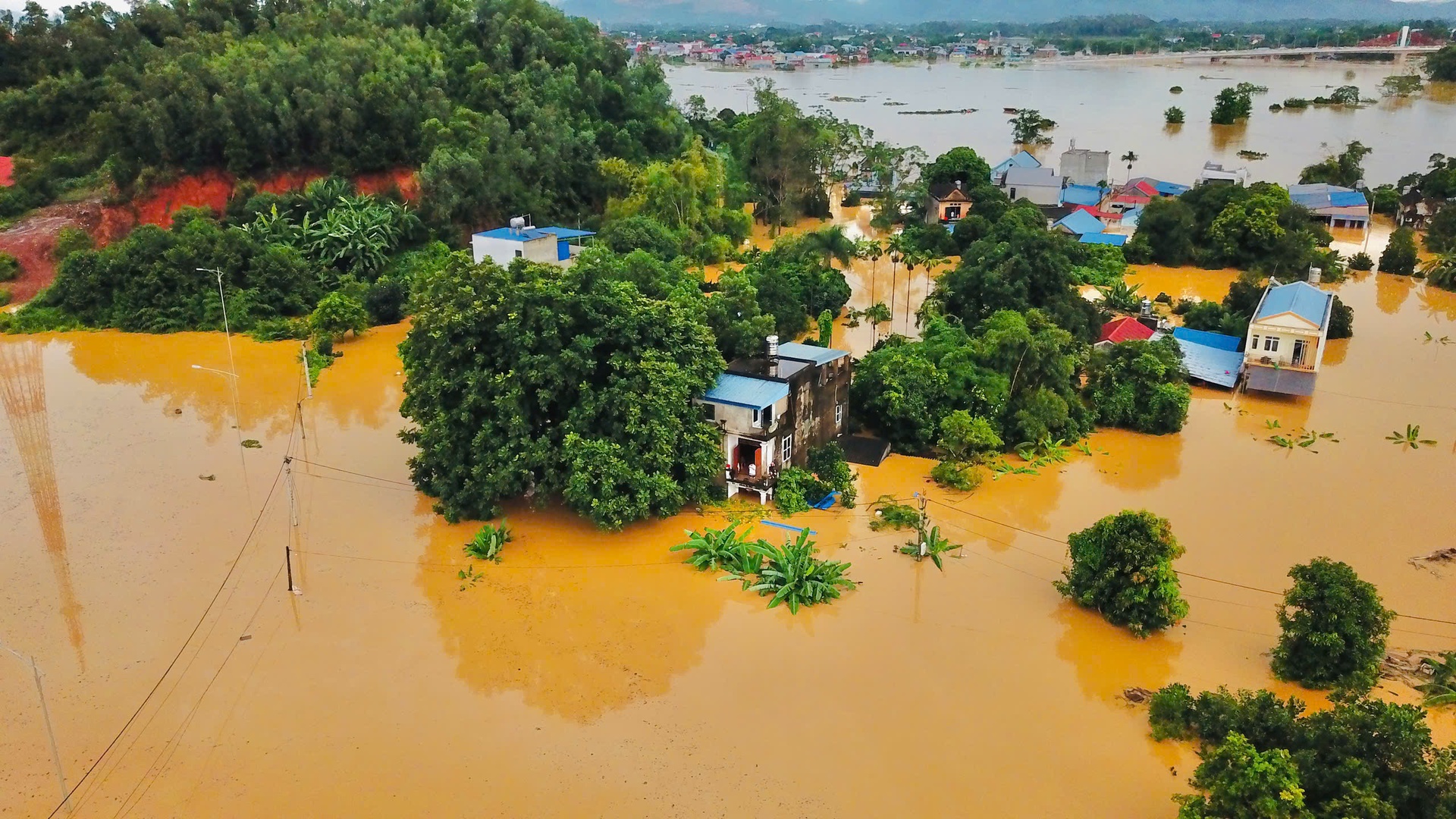 chén trà ảnh 4 chen tra anh 4