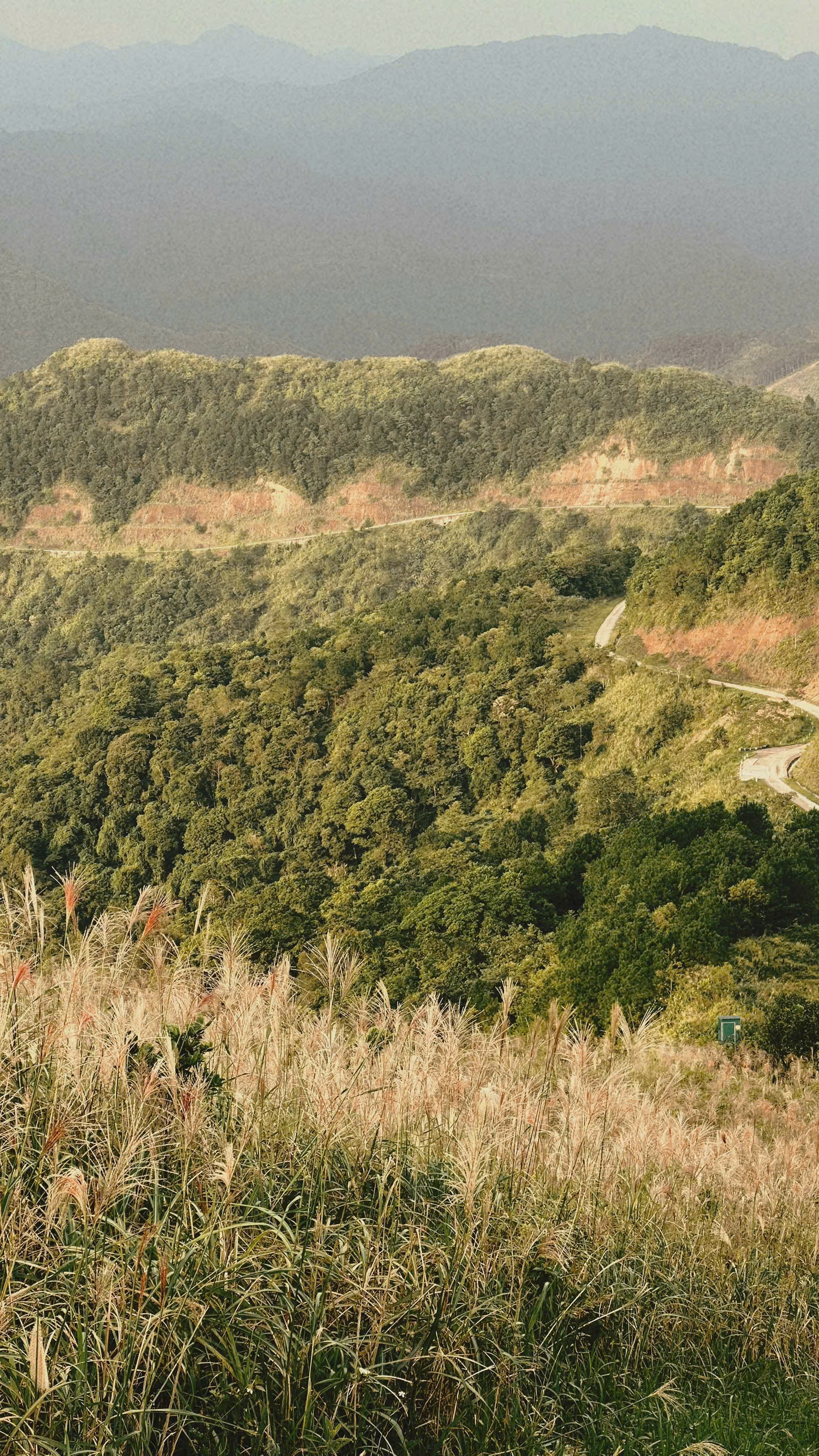 Binh Lieu anh 16