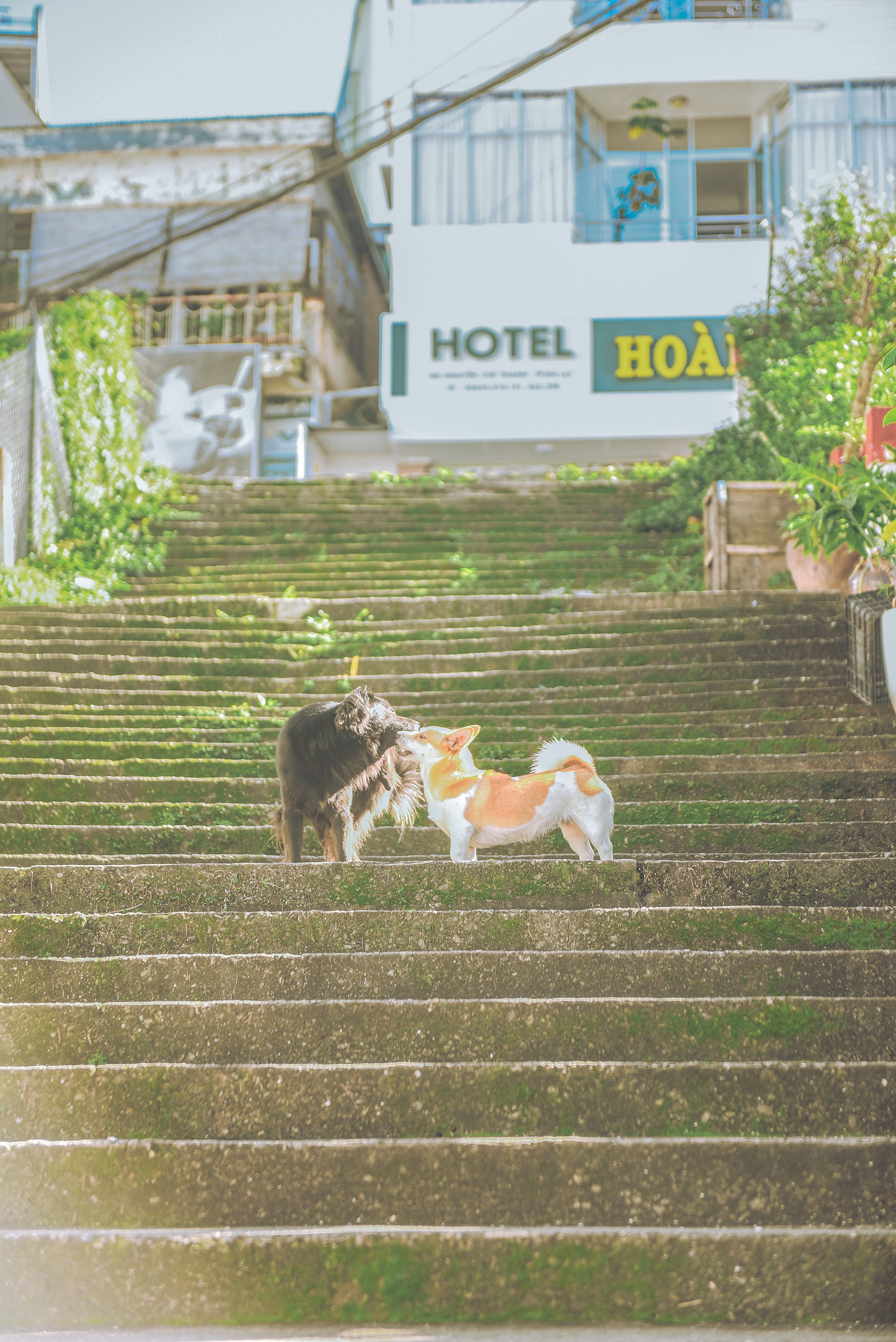 Da Lat anh 21