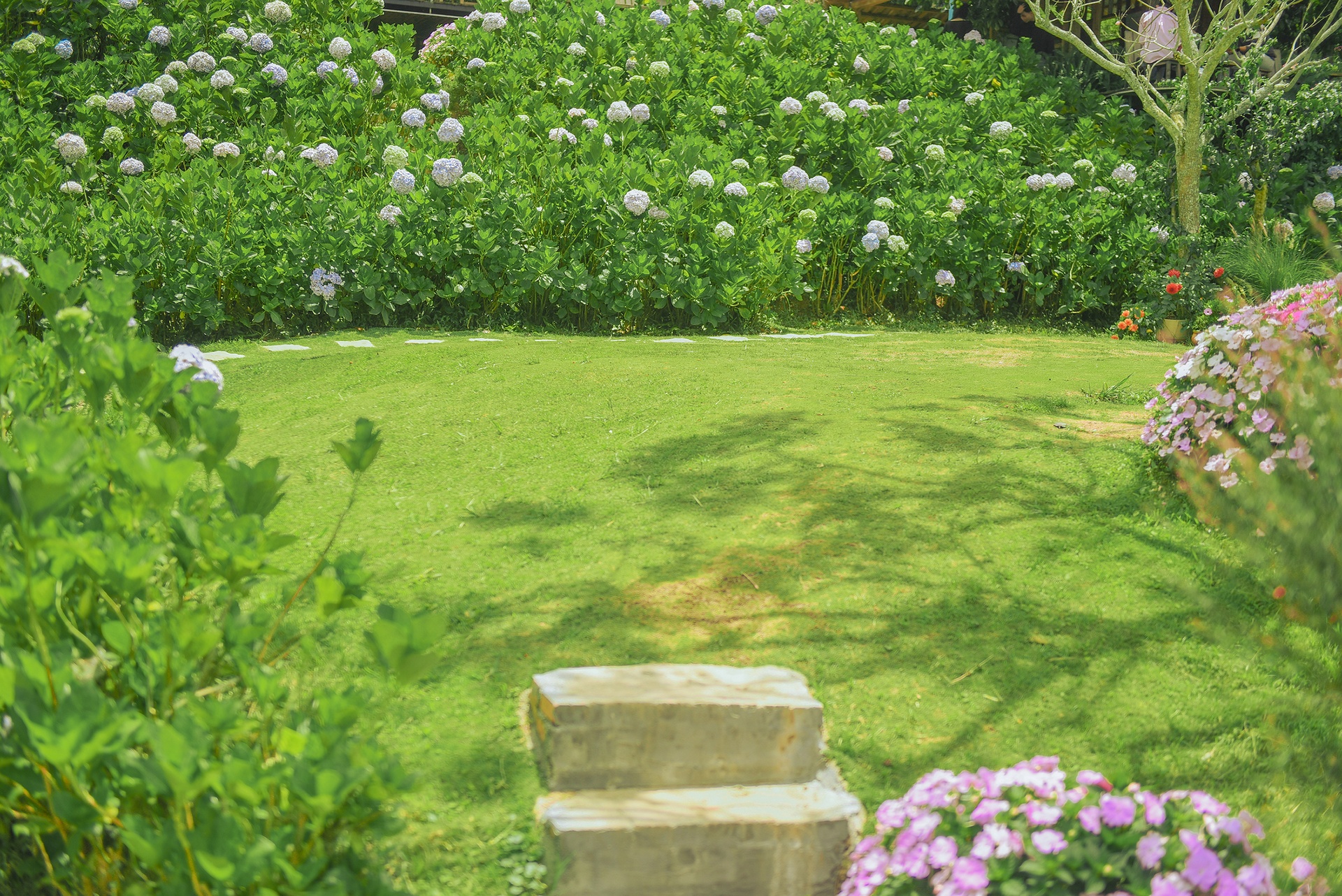 Da Lat anh 28