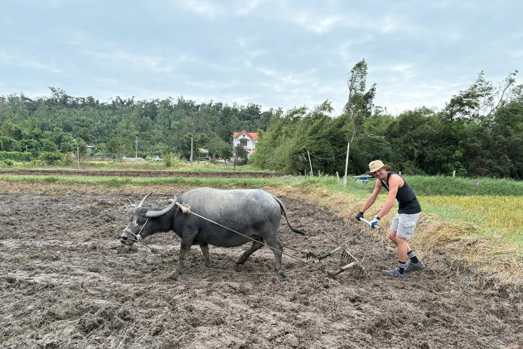 tra lai da cuoi anh 4