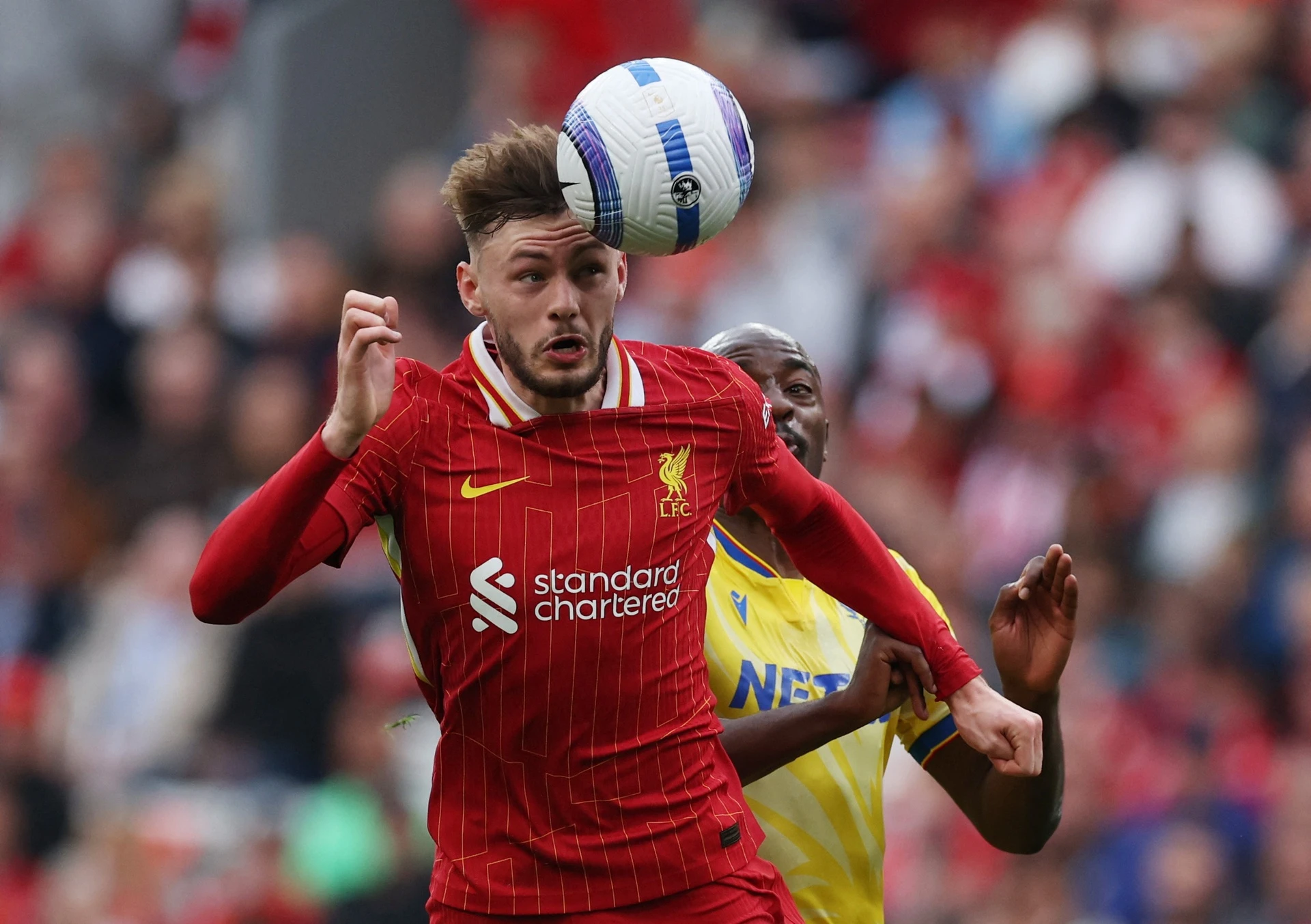 Premier League anh 1