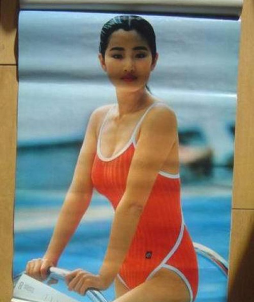 Củng Lợi.
