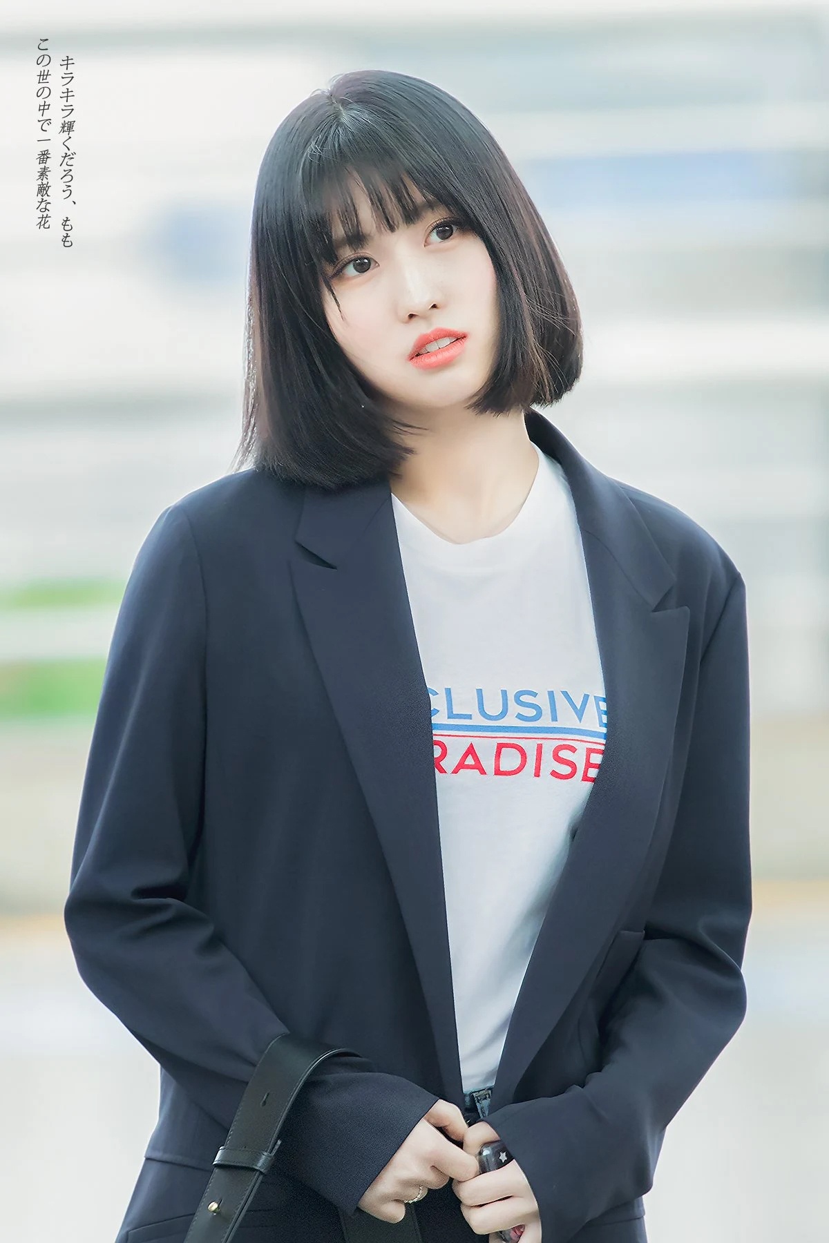 Momo anh 1