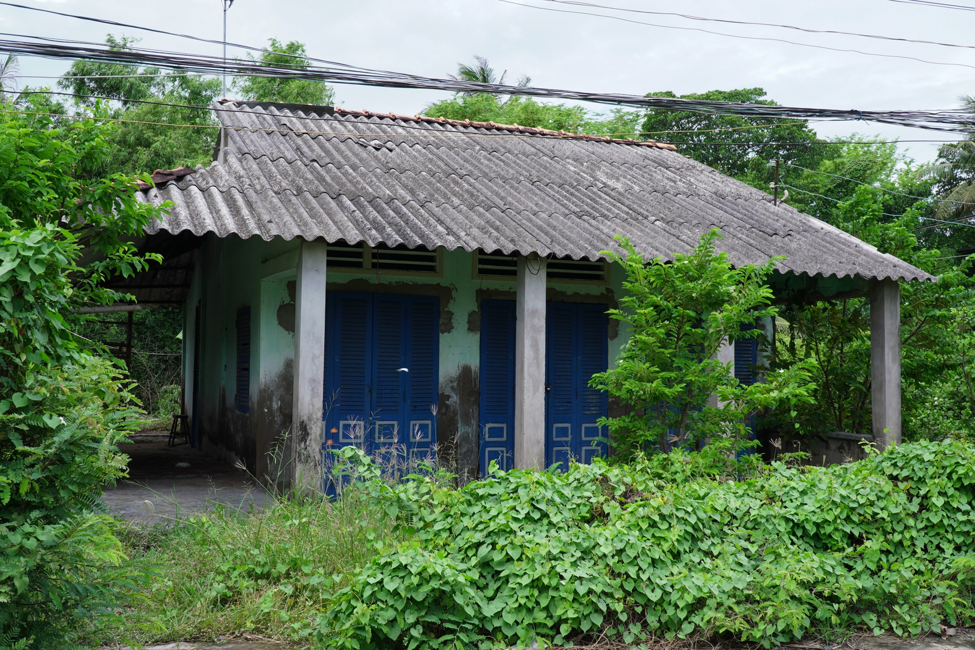 ho van cuong va phi nhung anh 2