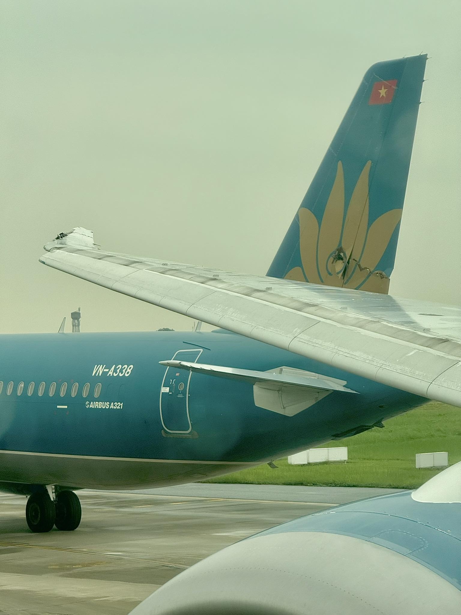 Diep Lam Anh,  may bay va quet,  Vietnam Airlines anh 1
