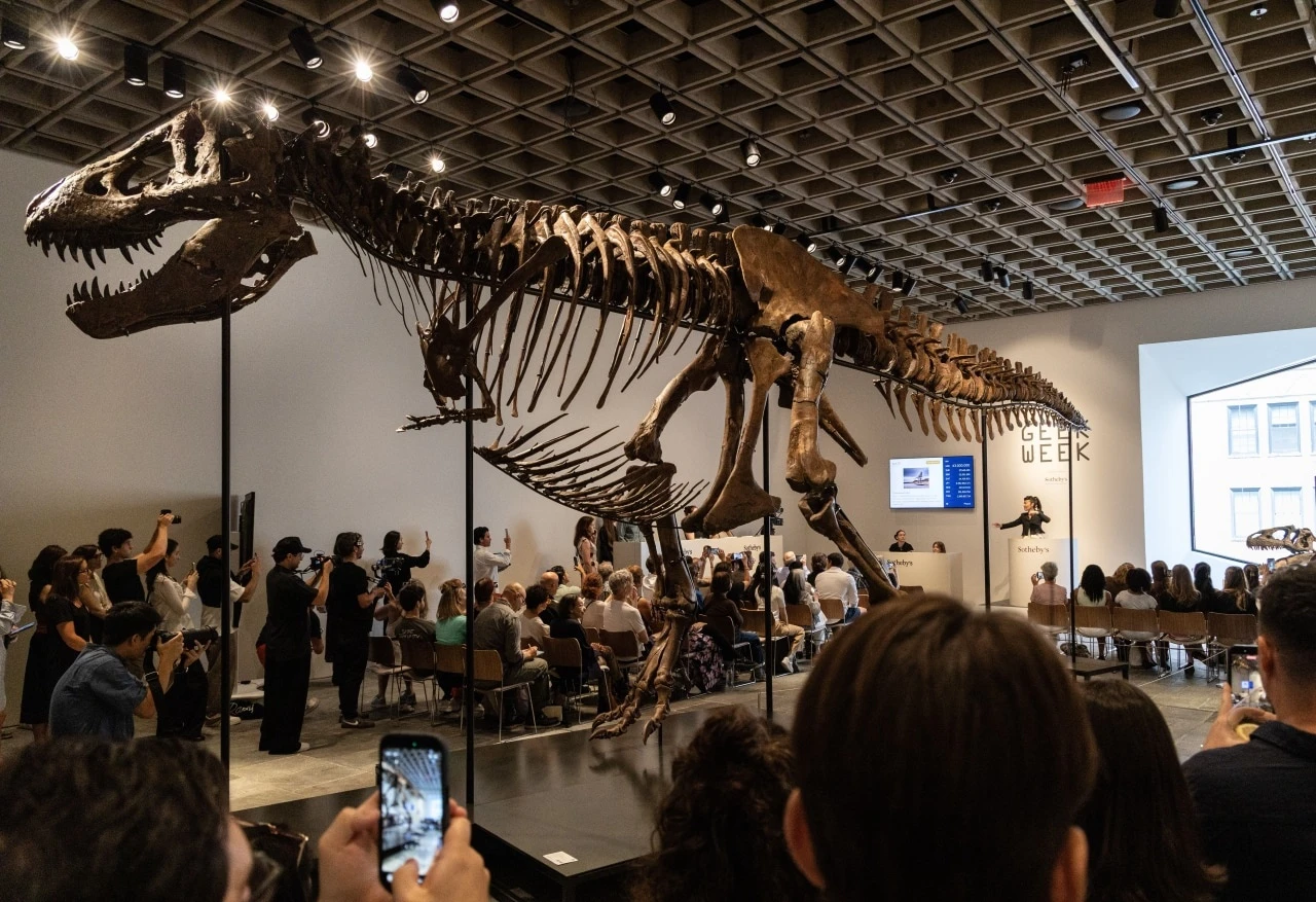 T. rex, hóa thạch, khủng, khủng long, sinh vật học, mẫu vật, Sotheby’s, Tyrannosaurus rex ảnh 1
