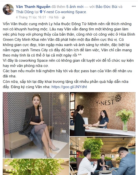 Y-nest anh 1