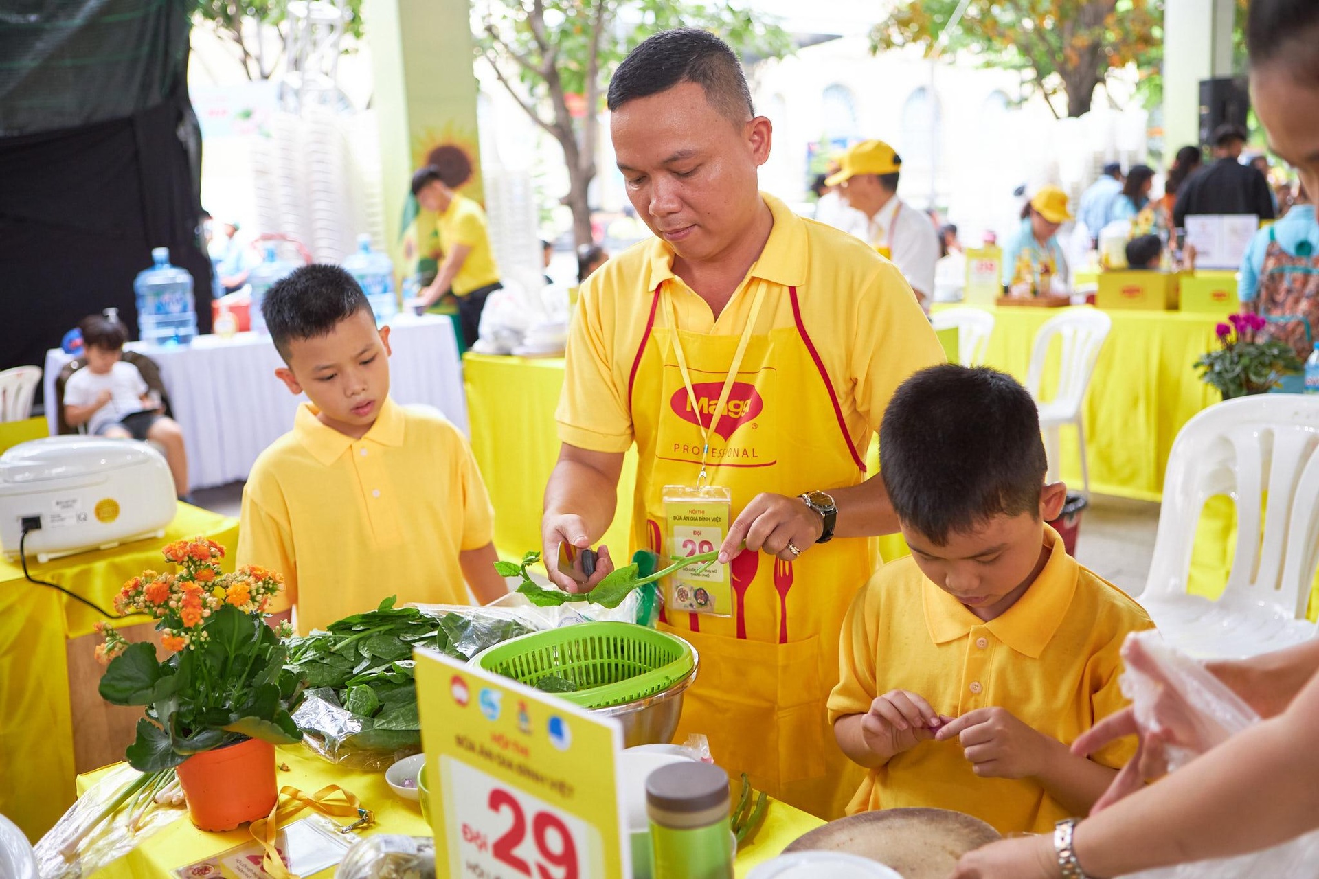 Maggi anh 3