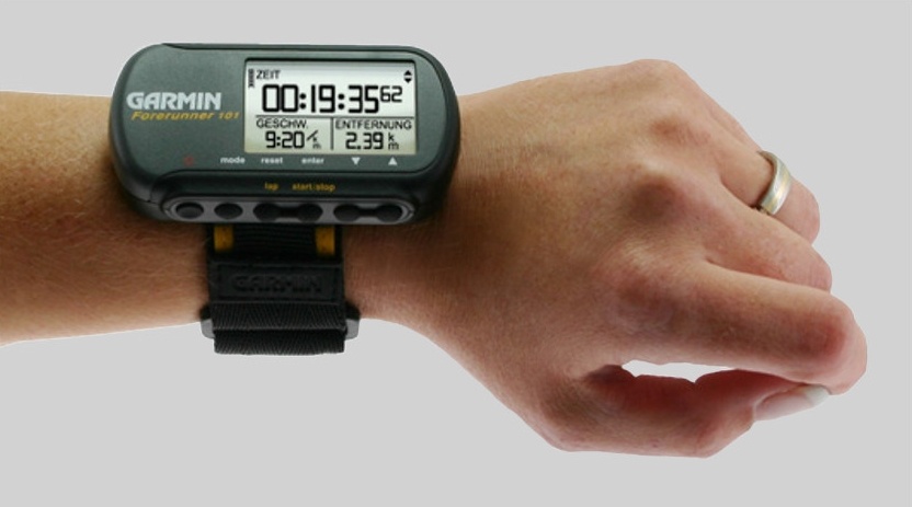 Garmin anh 1