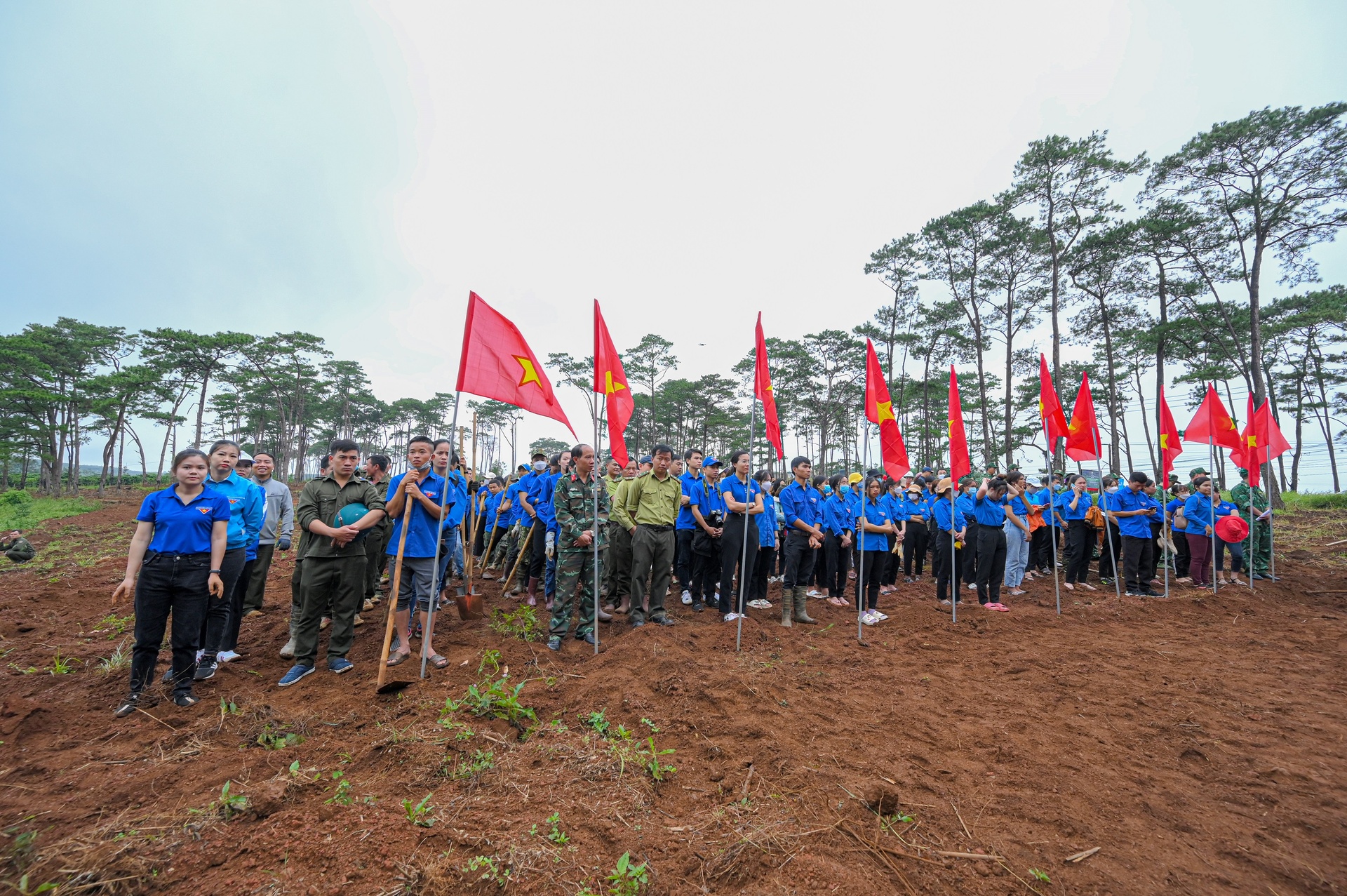 Trieu cay xanh,  Viet Nam xanh anh 1