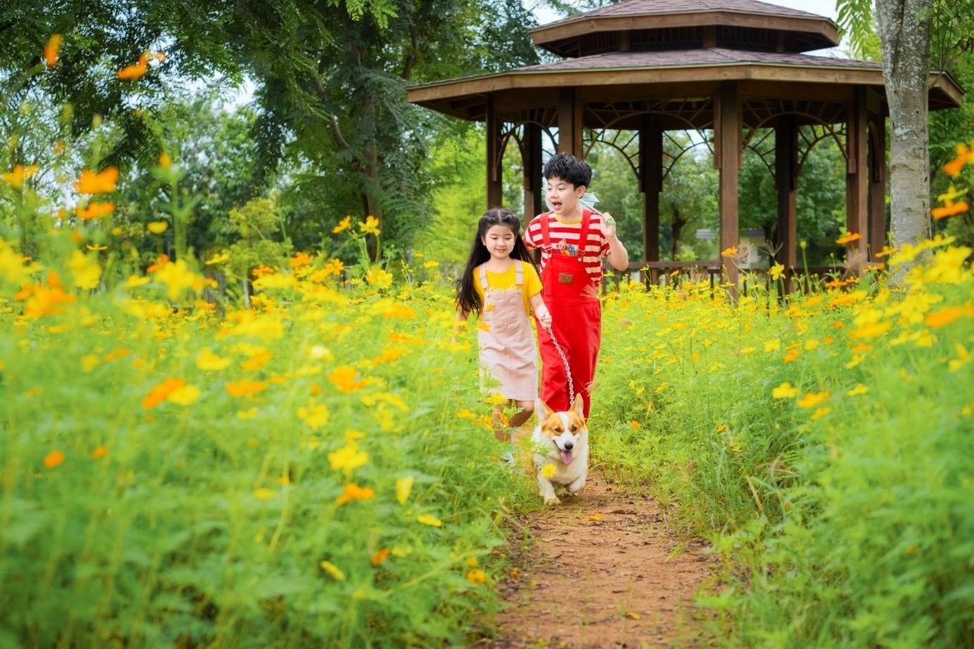 Waterpoint anh 10