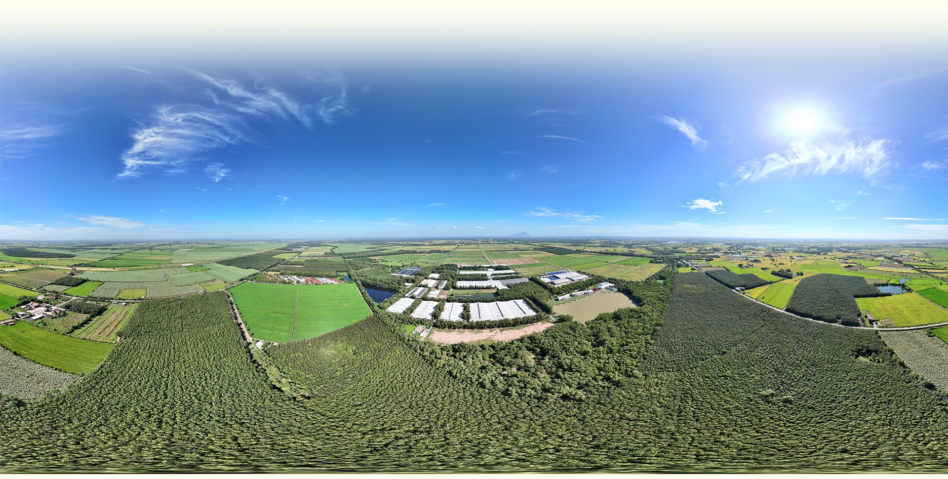 Trang trại Vinamilk ảnh 10 Trang trai Vinamilk anh 10