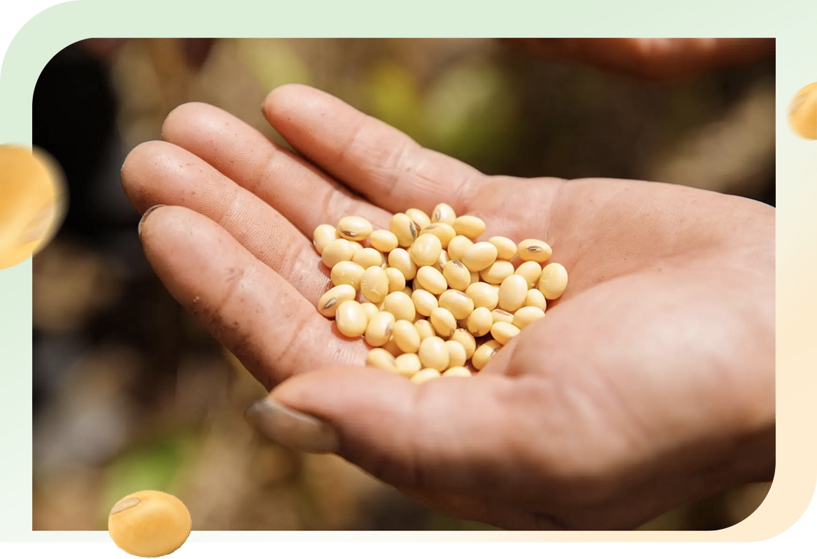 Vinasoy ảnh 1 Vinasoy anh 1
