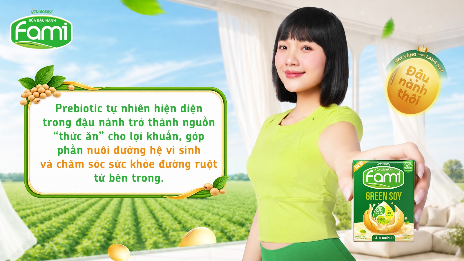 Đậu nành ảnh 1 Đậu nành ảnh 1